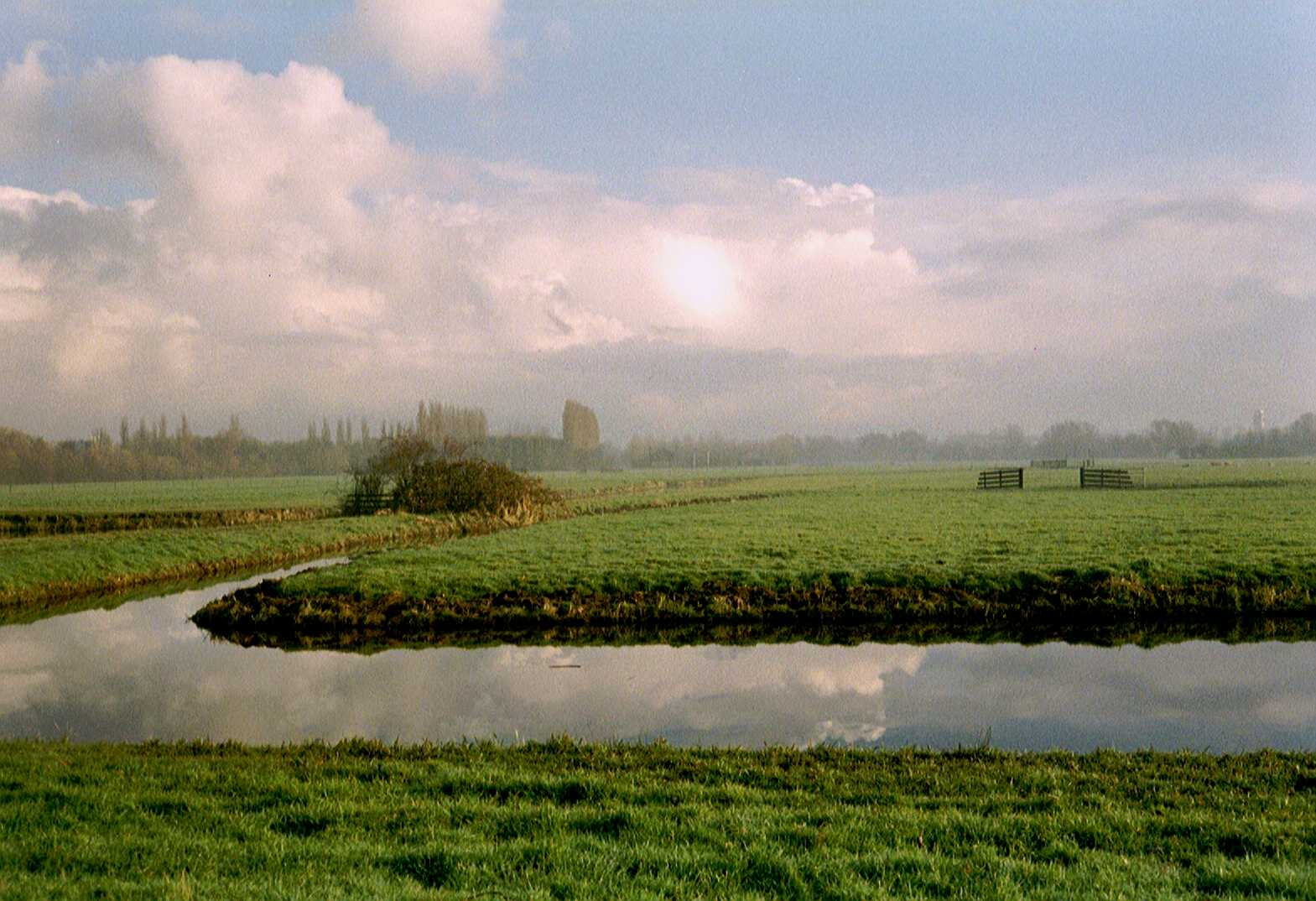 cronesteijn2.jpg